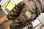 画像2: ☆SALE50％OFF [seedleSs]TWIN CAMO SHORTS ※Mサイズのみ (2)
