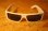 画像3: [BLACK FLYS]Sunglasses (3)