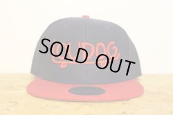 画像1: [LOUDOG] LOUDOG SKATE SNAP BACK -NAVYxRED-