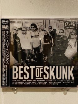 画像2: [ONE BIG FAMILY RECORDS] V.A. / BEST of SKUNK (21曲収録）