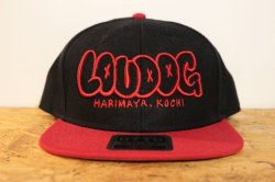 画像1: [LOUDOG] LOUDOG SNAP BACK 高知ver.