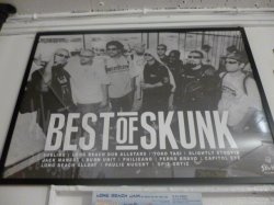 画像2: BEST of SKUNK(Long Beach Dub Allstars)ポスター！(A2サイズ/135kg)