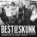[ONE BIG FAMILY RECORDS] V.A. / BEST of SKUNK (21曲収録）
