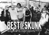 BEST of SKUNK(Long Beach Dub Allstars)ポスター！(A2サイズ/135kg)
