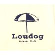 画像4: [LOU DOG] LOUDOG My Roots S/STee -ホワイト- (4)