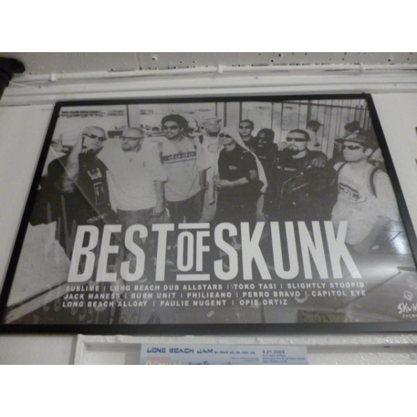 画像2: BEST of SKUNK(Long Beach Dub Allstars)ポスター！(A2サイズ/135kg) (2)