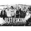 画像1: BEST of SKUNK(Long Beach Dub Allstars)ポスター！(A2サイズ/135kg) (1)