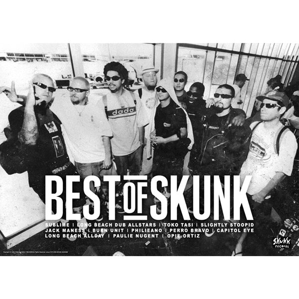 画像1: BEST of SKUNK(Long Beach Dub Allstars)ポスター！(A2サイズ/135kg) (1)